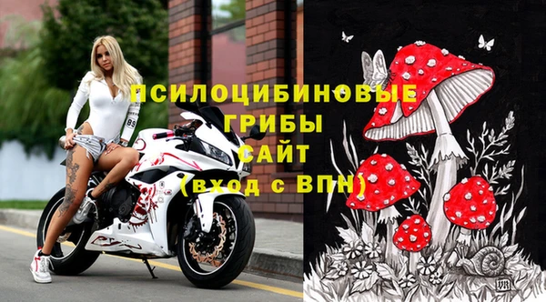 молекула духа Михайлов