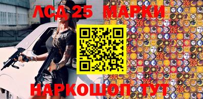 индика Кандалакша