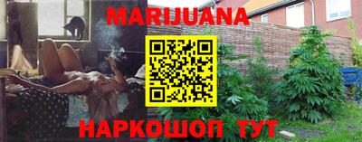 индика Кандалакша
