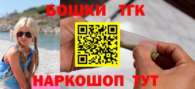 индика Кандалакша