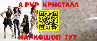 индика Кандалакша
