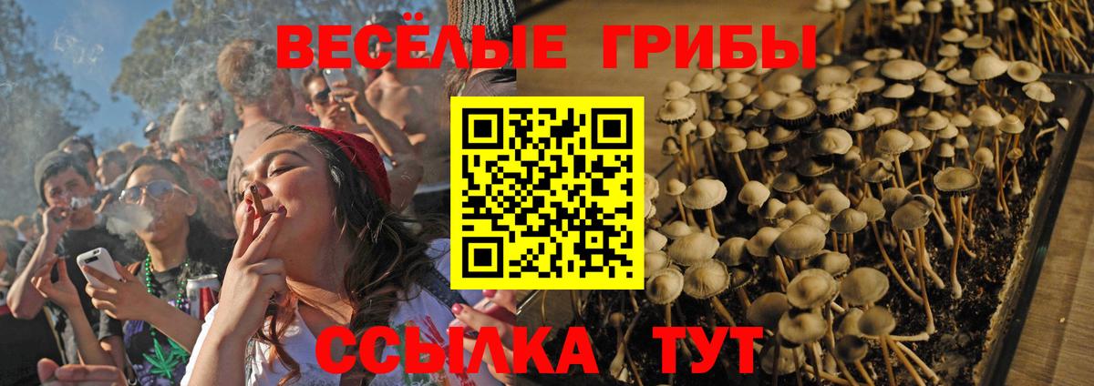 Галлюциногенные грибы ЛСД  Вход с VPN  Галлюциногенные грибы мухоморы  Омск 