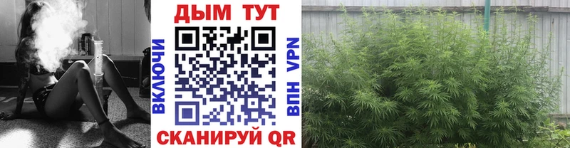 Бошки марихуана MAZAR продажа наркотиков Омск